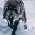 blackwolf924