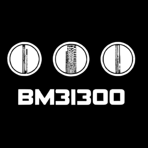 bm31300