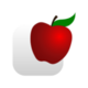 objecity
