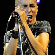 Amy Search