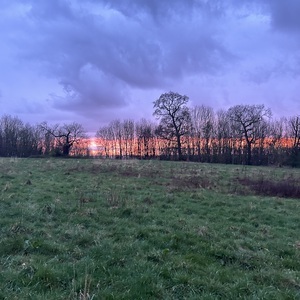 feltham_jnr