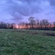 feltham_jnr