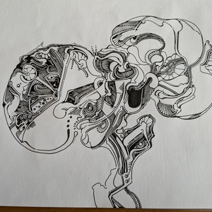 void_snw