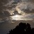 shadowatevening