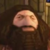 leomajor975