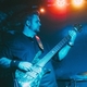 bassistbear