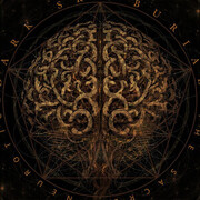 Dark Sky Burial