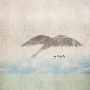Sky Flying By