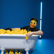 Duck