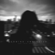 Ambinoise
