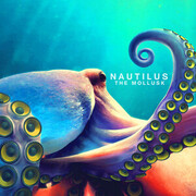 The Mollusk