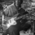 Miguel Clemente uses Fender JAB J-Craft Jaguar Bass MIJ