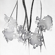 Cory James