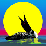 howling loon