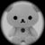 luna_papa