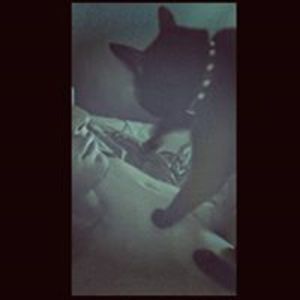 alejandro_bar