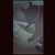 alejandro_bar