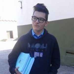 ale_pavlinusich
