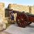 arnau_gil_rabassa
