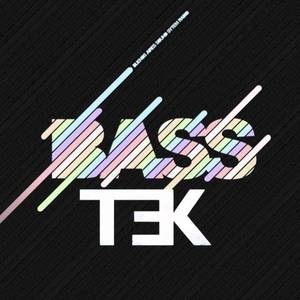basstek