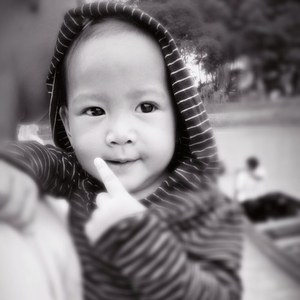 harissya