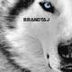 brandtaj