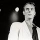 Peter Murphy