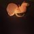 la_phant