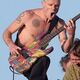 Flea