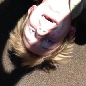 evansguitar