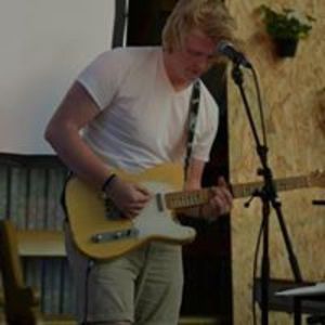 david_koala_petersson