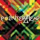 pointerhead