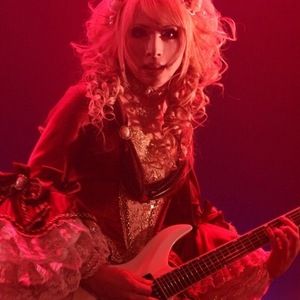 Hizaki | Equipboard