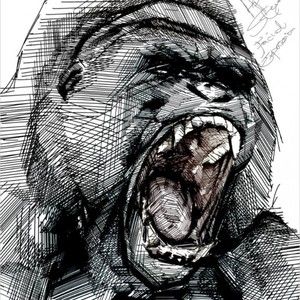 gorillataylor
