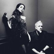 Kidneythieves