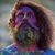 See how Gaslamp Killer uses Rane Sixty-Eight Club Mixer