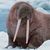 jamie_bigham