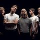 The Rubens