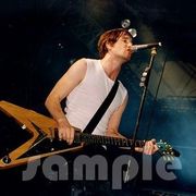 Tim Wheeler