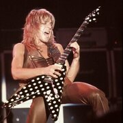 randy rhoads equipboard