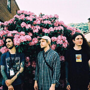 Embracer