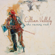 Cillian Vallely, member of Lúnasa