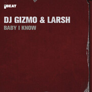 DJ Gizmo