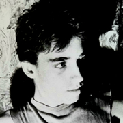 Toti Árboles