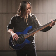 John Myung uses 4 Demeter Amplification products