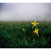 LUSRICA