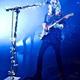 Ladyhawke