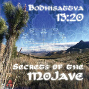 Bodhisattva 13:20