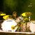 See how Adriano Molinari uses Ufip Vibra