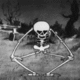 ebowglow